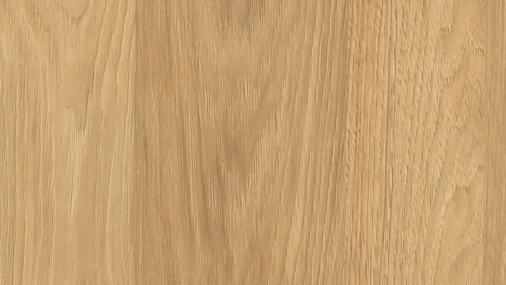 Hikora naturalna H3730