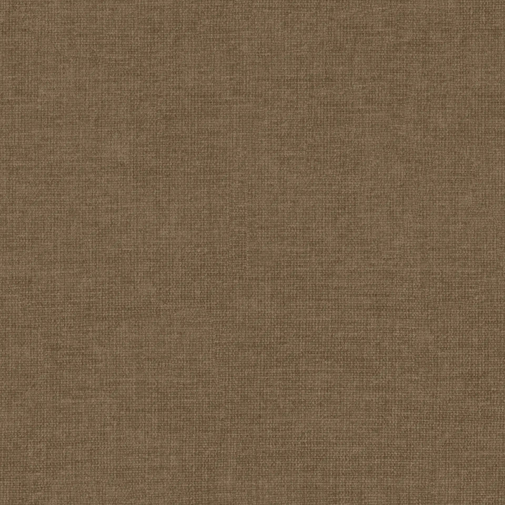Wind 22