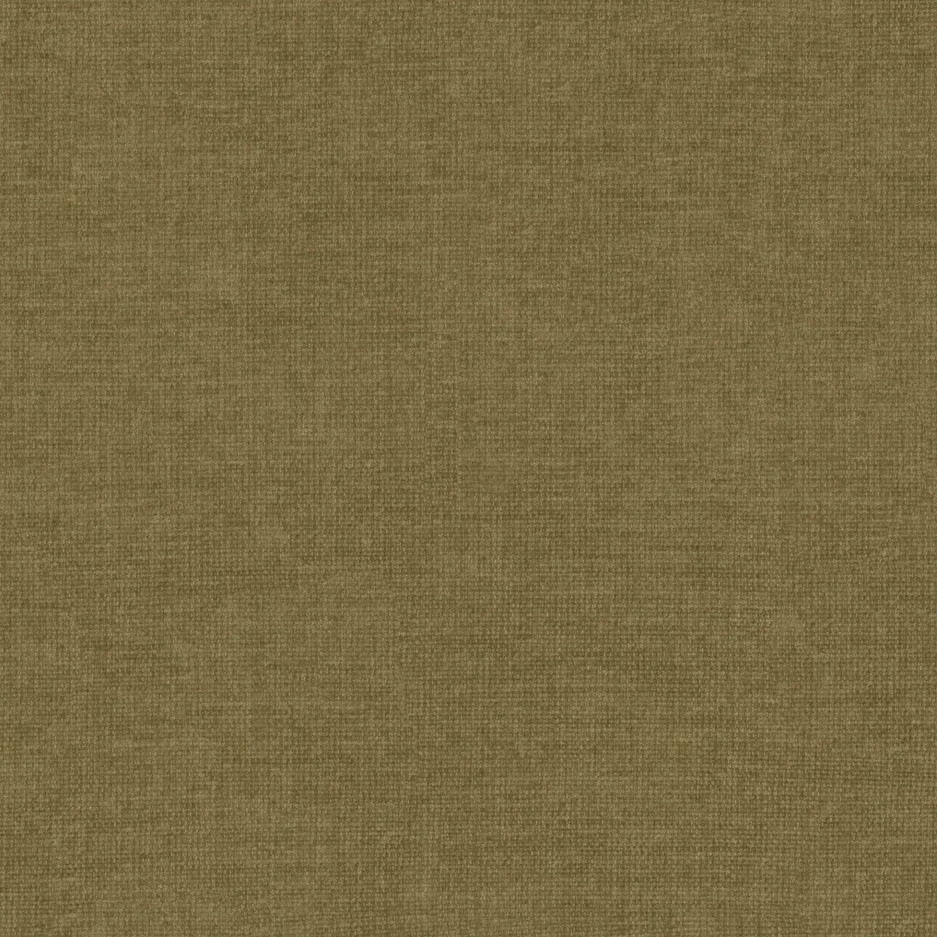 Wind 38