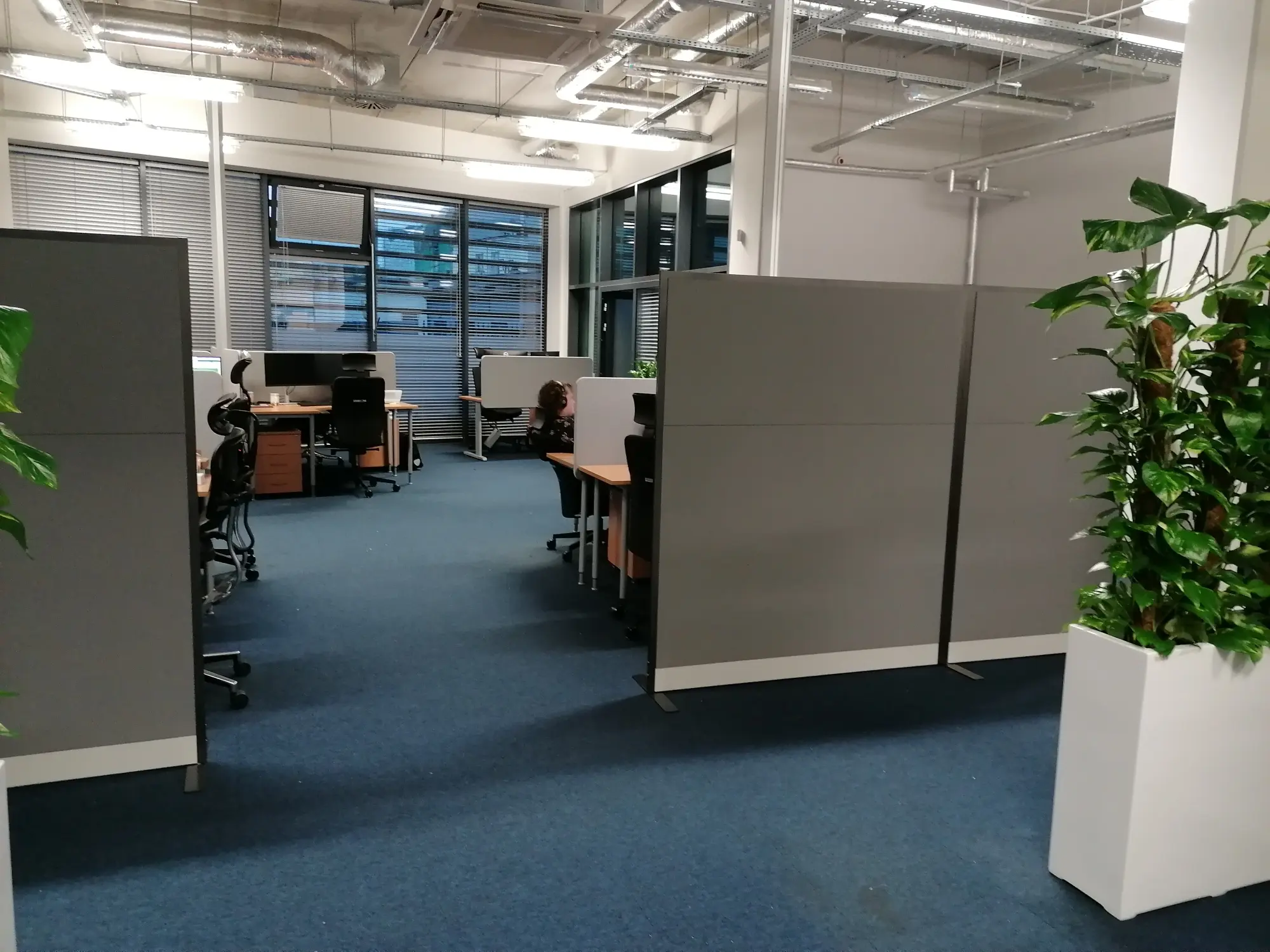 Akustische Bürotrennwände Warschau: Ingenieursbüro in 2 Tagen schallisoliert (ohne Bohren!)