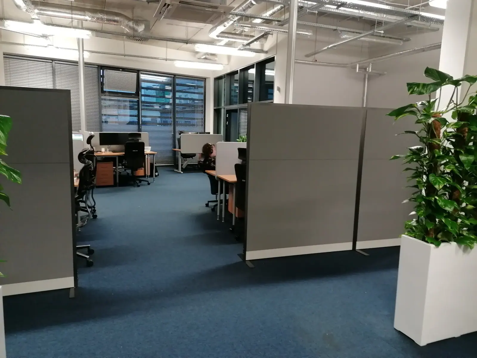 Akustische Bürotrennwände Warschau: Ingenieursbüro in 2 Tagen schallisoliert (ohne Bohren!)