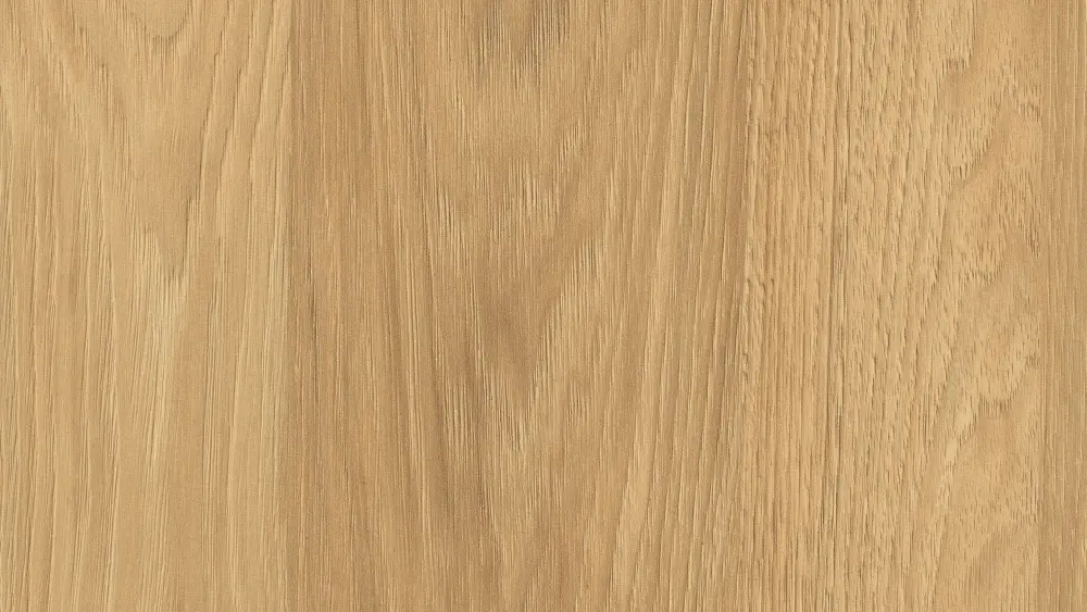 Hikora naturalna H3730
