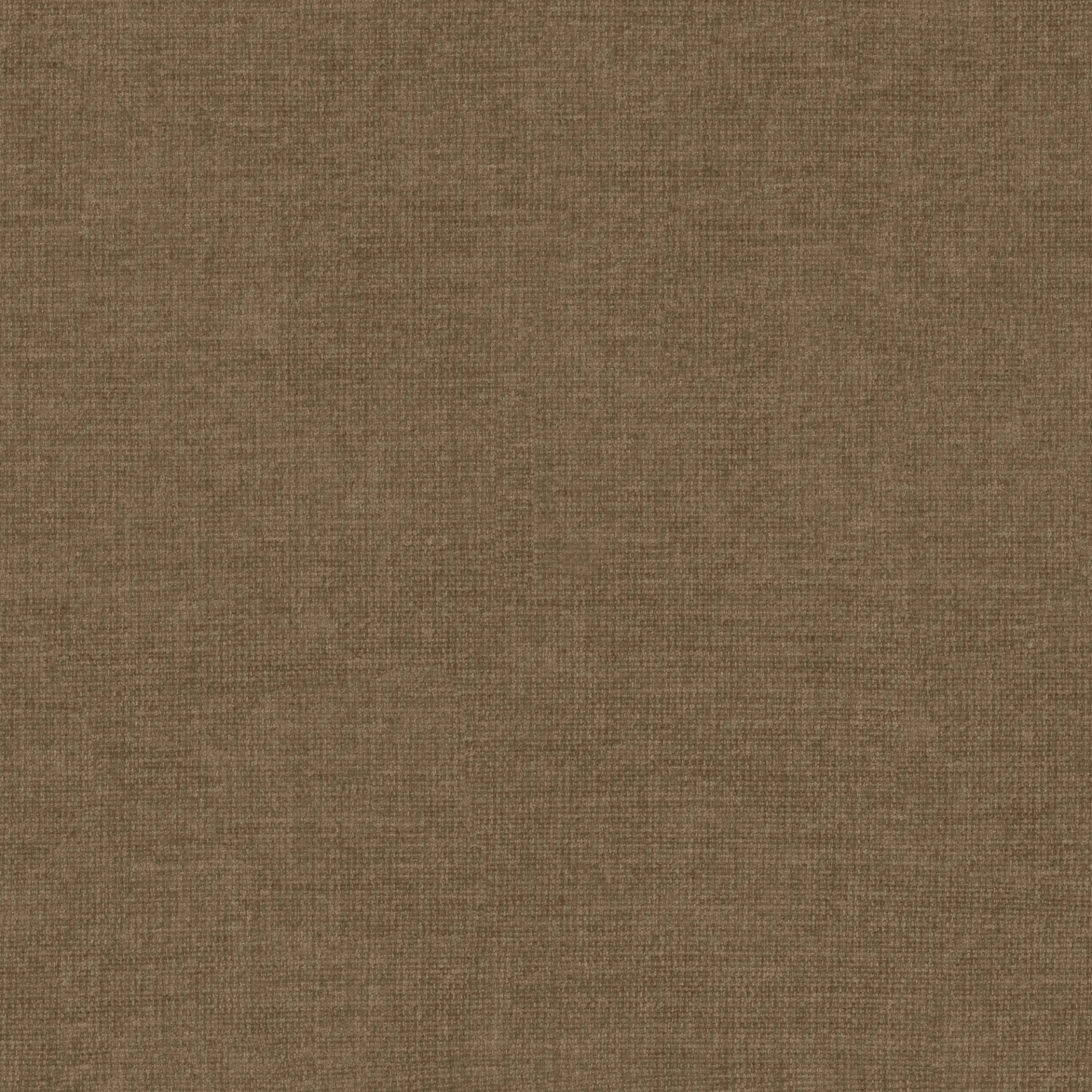 Wind 22