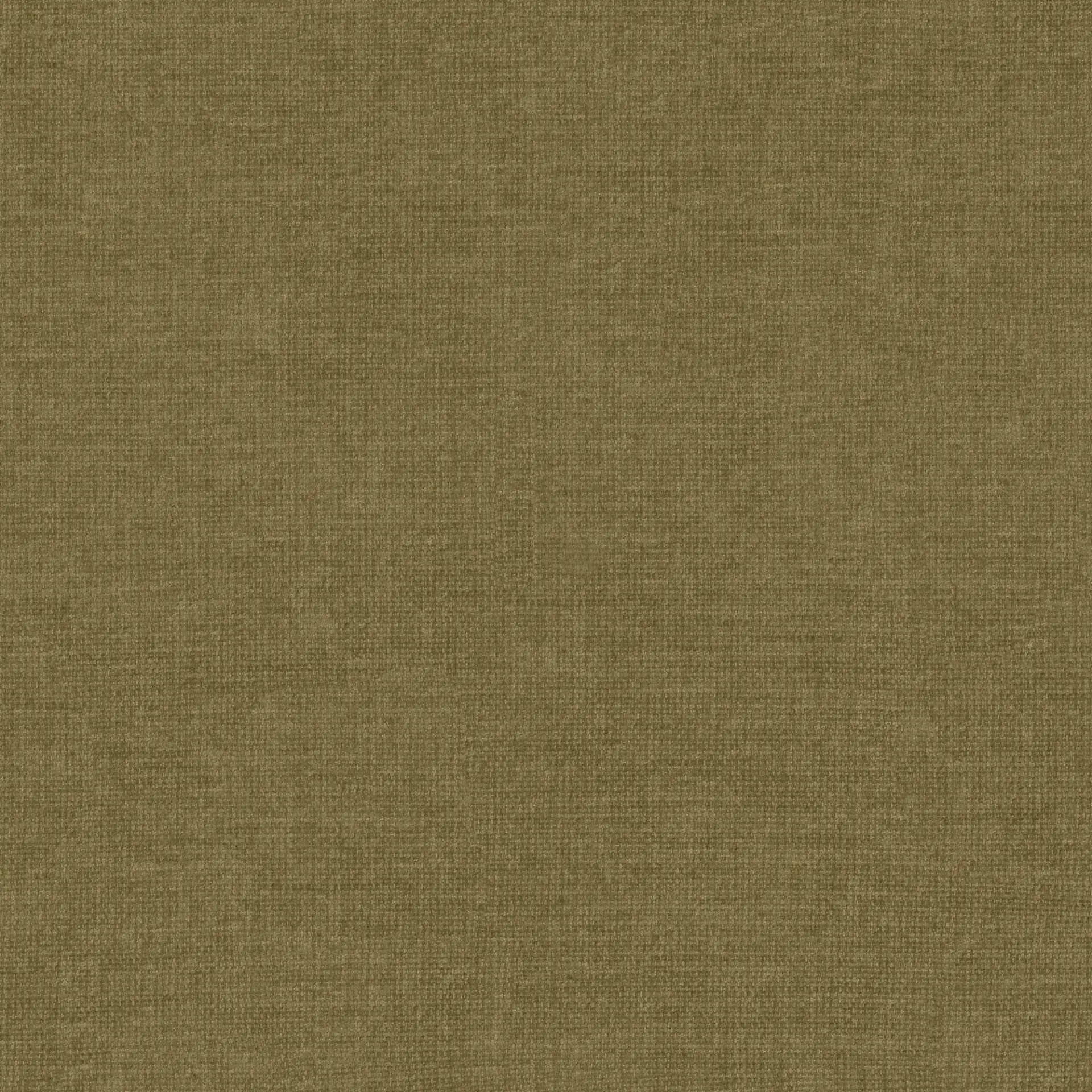 Wind 38